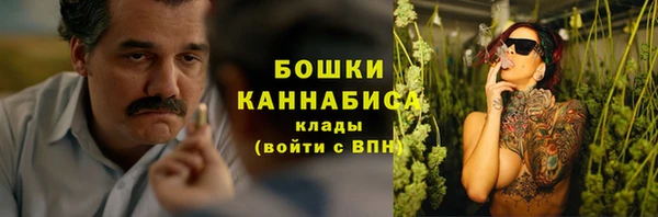 сатива Михайловск
