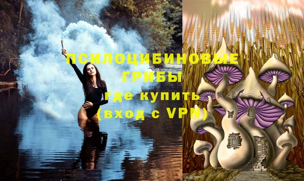трава Аша