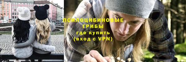PSILOCYBIN Михайловка