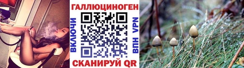 купить наркоту  Томмот  Галлюциногенные грибы MAGIC MUSHROOMS 